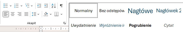 Wstążka Worda zawierająca elementy tekstu